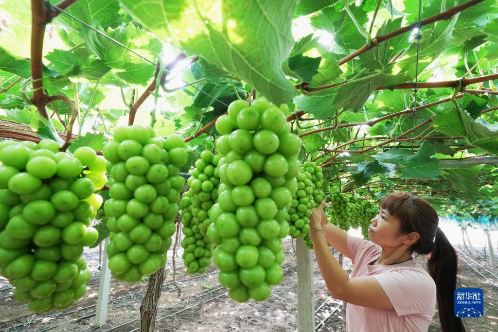 开户送体验金58元可提款